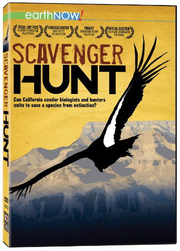 Cover for Scavenger Hunt (DVD) (2013)