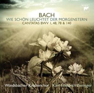 Bach J.s: Cantatas - Windsbacher Knabenchor - Musik - SONYC - 0887254097327 - 10 juli 2012