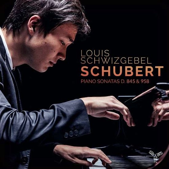Cover for Louis Schwizgebel · Piano Sonatas D.845 &amp; D.958 (CD) (2017)