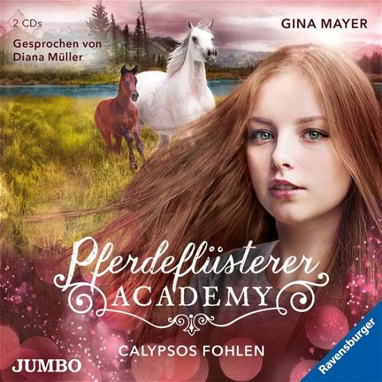 Cover for Gina Mayer · Pferdeflüsterer-Academy: Calypsos Fohlen - Folge 6 (CD) (2020)