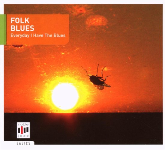 Folk Blues - Everyday I Have the Blues - Various Artists - Música - EDEL - 4029758870327 - 