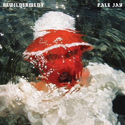 Cover for Pale Jay · Bewilderment (CD) [Japan Import edition] (2023)