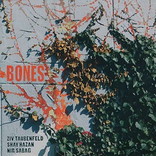 Cover for Bones (CD) (2016)