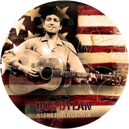 Cover for Bob Dylan · A Long Time A.. -pd- (LP) [Picture Disc edition] (2013)