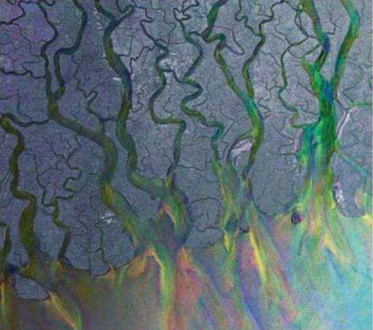 Cover for Alt-J · An Awesome Wave (CD) [Limited edition] (2012)