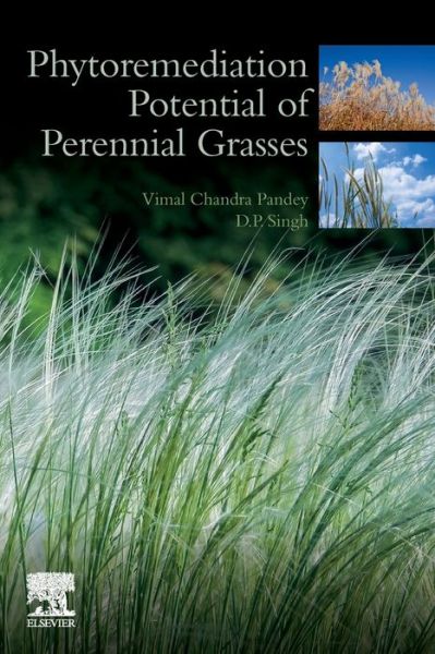 Cover for Pandey, Vimal Chandra (Department of Environmental Science, Babasaheb Bhimrao Ambedkar University, Lucknow, Uttar Pradesh, India) · Phytoremediation Potential of Perennial Grasses (Paperback Book) (2020)