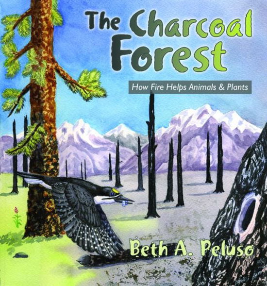 Cover for Beth A. Peluso · The Charcoal Forest (Paperback Bog) [1st Edition edition] (2007)