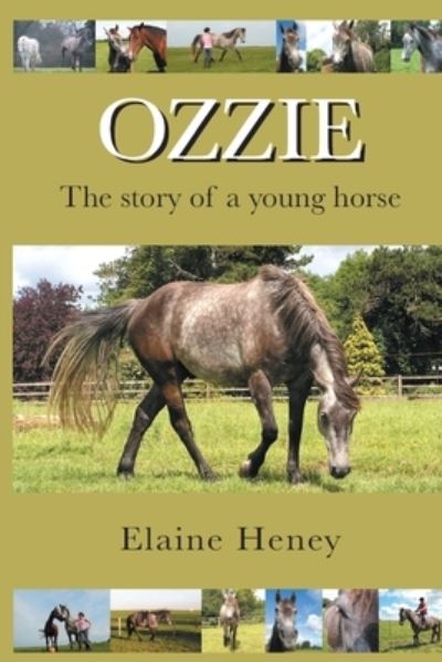 Cover for Elaine Heney · Ozzie (Paperback Book) (2022)