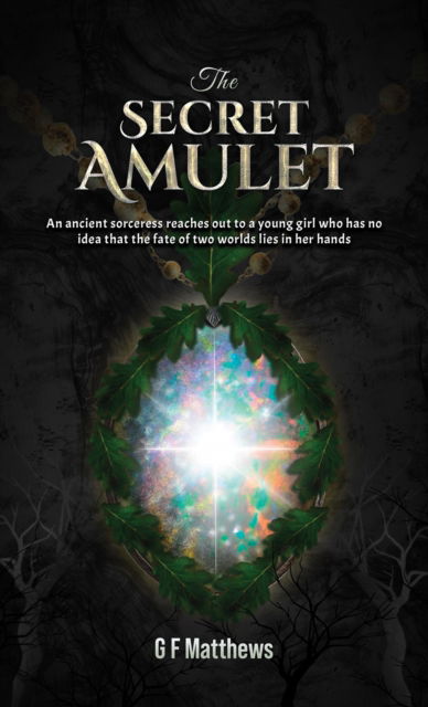 Cover for G F Matthews · The Secret Amulet (Paperback Book) (2024)