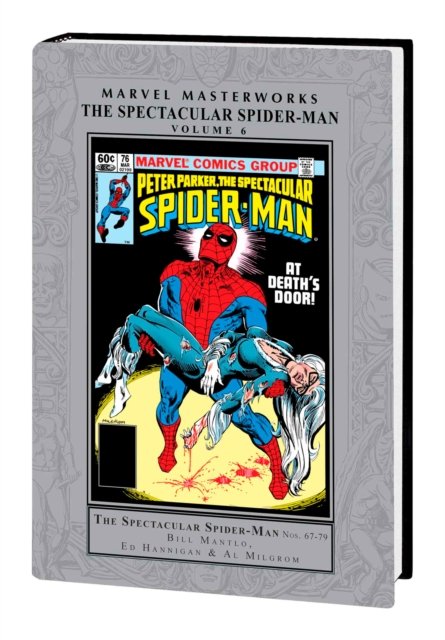 Cover for Bill Mantlo · Marvel Masterworks: The Spectacular Spider-man Vol. 6 (Gebundenes Buch) (2023)