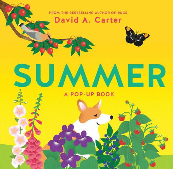 Cover for David Carter · Summer: A Pop-Up Book (Hardcover Book) (2018)