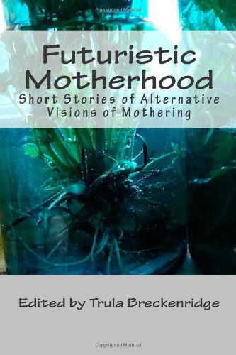 Cover for Mercury Lynch · Futuristic Motherhood: Alternative Visions of Mothering (Paperback Book) (2010)