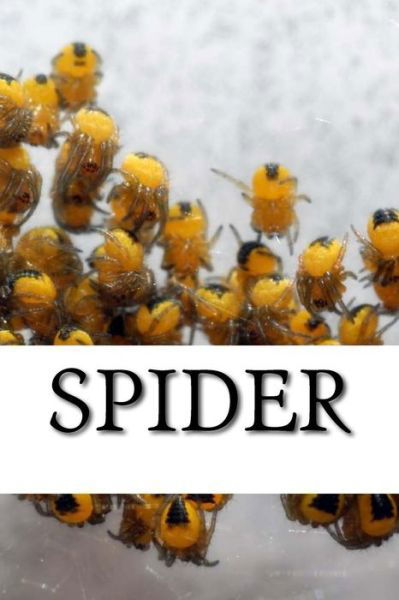 Cover for Spider (Paperback Book) (2017)