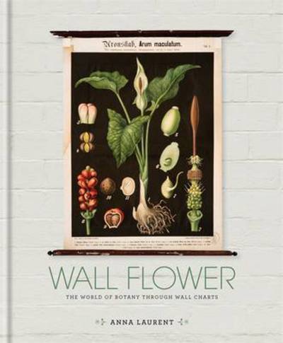 Cover for Anna Laurent · The Botanical Wall Chart: Art from the golden age of scientific discovery (Hardcover Book) (2016)