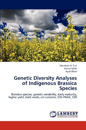 Cover for Ayub Khan · Genetic Diversity Analyses of Indigenous Brassica Species: Brassica Species, Genetic Variability, Early Maturity, Higher Yield, Bold Seeds, Oil Contents, Sds-page, Ssr (Pocketbok) (2012)