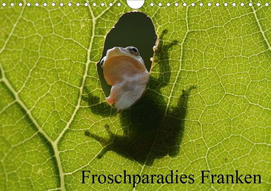 Cover for Bachmeier · Froschparadies Franken (Wandk (Book)