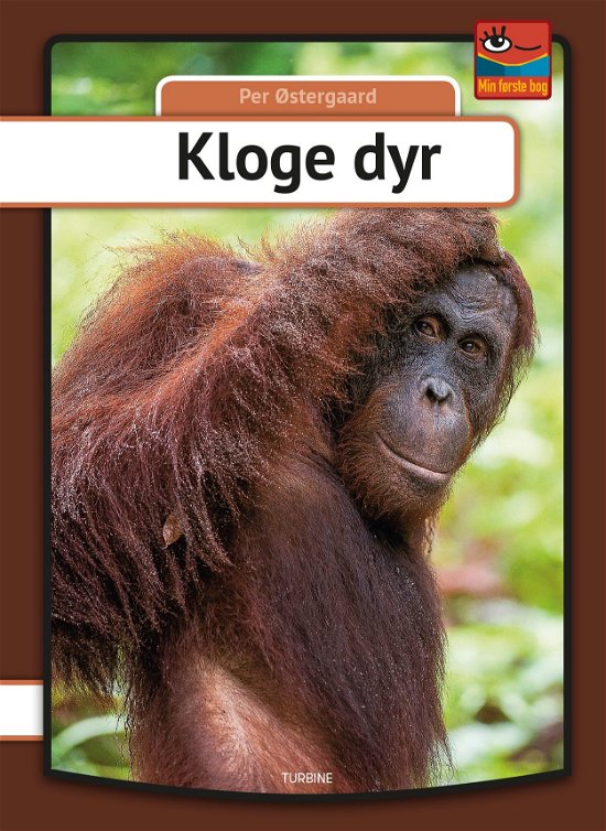 Min første bog: Kloge dyr - Per Østergaard - Livros - Turbine - 9788740618327 - 17 de janeiro de 2018
