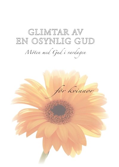 Cover for Stephen Parolini · Glimtar av en osynlig Gud : möten med Gud i vardagen : för kvinnor (Hardcover Book) (2005)