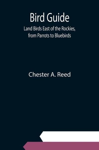 Cover for Chester A Reed · Bird Guide (Paperback Book) (2021)