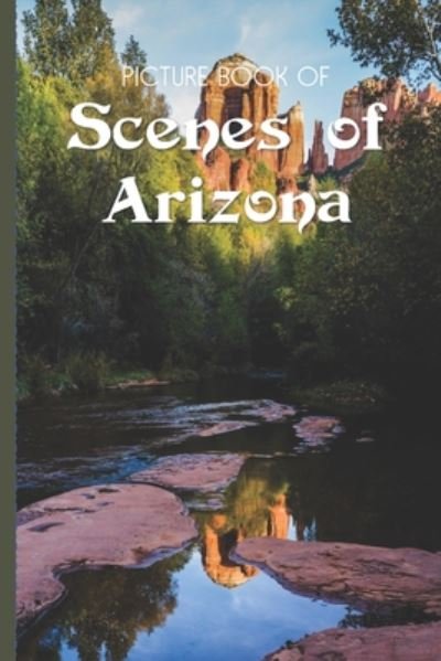 Cover for Old Church Lane Books · Picture Book Of Scenes Of Arizona (Taschenbuch) (2020)