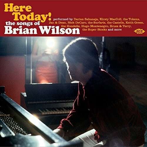 Here Today! The Songs Of Brian Wilson - Brian Wilson - Musik - ACE RECORDS - 0029667072328 - 10 juli 2015