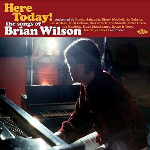 Cover for Here Today! The Songs Of Brian Wilson (CD) (2015)