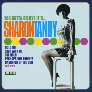 Cover for Sharon Tandy · You Gotta Believe It (CD) (2004)