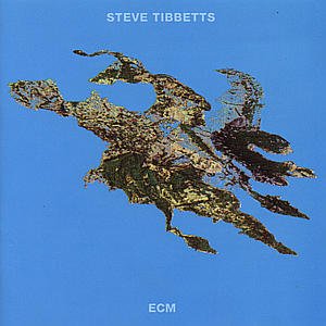 Cover for Tibbetts Steve · Big Map Idea (CD) (1989)