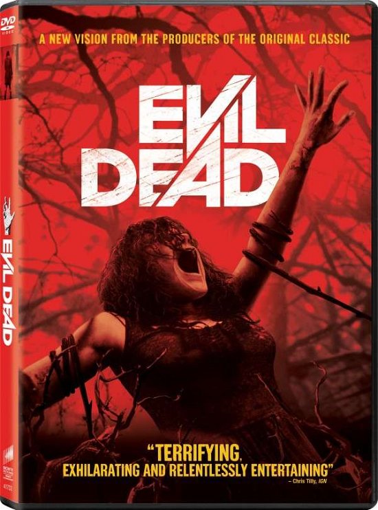 Evil Dead - Evil Dead - Movies - Sony - 0043396417328 - July 16, 2013