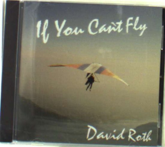 If You Can't Fly - David Roth - Musik - Wind River - 0045507400328 - 