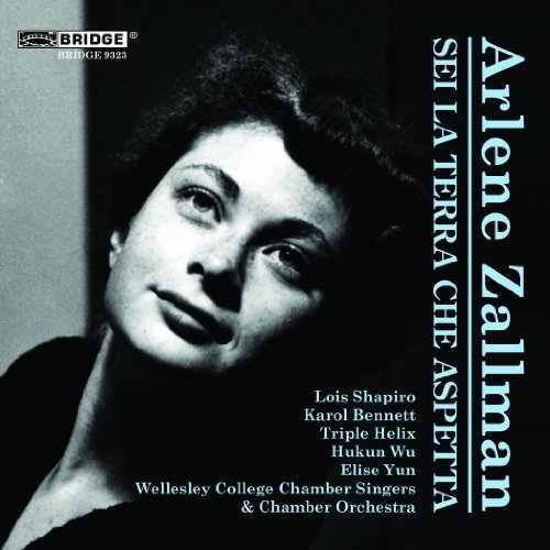 Cover for Zallman / Shapiro · Music of Arlene Zallman (CD) (2010)