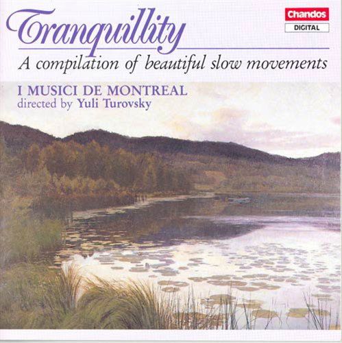 Cover for Tranquility / Various (CD) (1992)