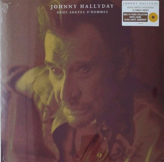 Cover for Johnny Hallyday · Hallyday,johnny (LP) [Limited edition] (2020)