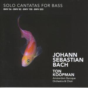 Solo Cantatas For Bass - Johann Sebastian Bach - Music - CHALLENGE - 0608917228328 - February 1, 2008
