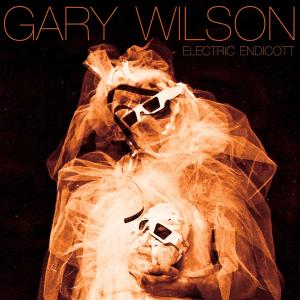 Electric Endicott - Gary Wilson - Musiikki - WESTERN VINYL - 0656605461328 - torstai 28. lokakuuta 2010