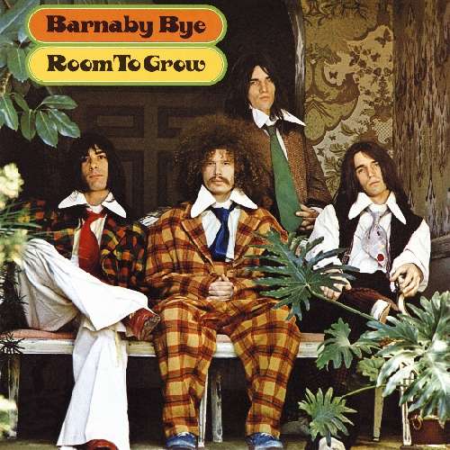 Cover for Barnaby Bye · Room To Grow (CD) (1990)