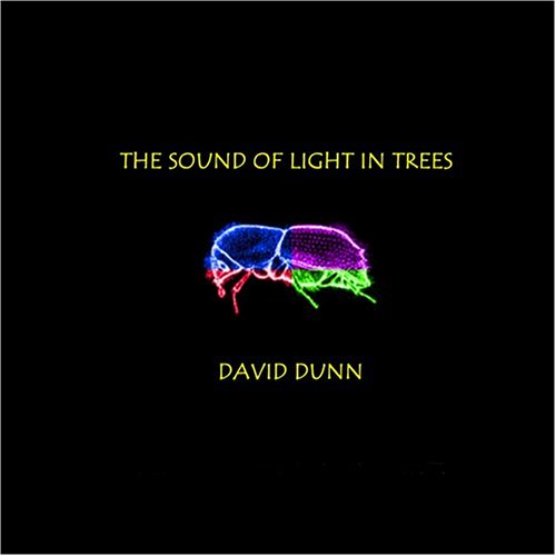 Sound of Light in Trees - David Dunn - Music - Earthear - 0696208051328 - October 18, 2008