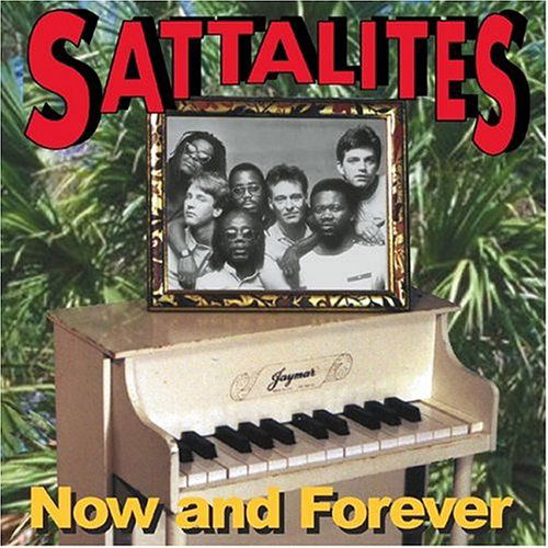 Now & Forever - The Sattalites - Musik - REGGAE - 0696774101328 - 10. oktober 2014