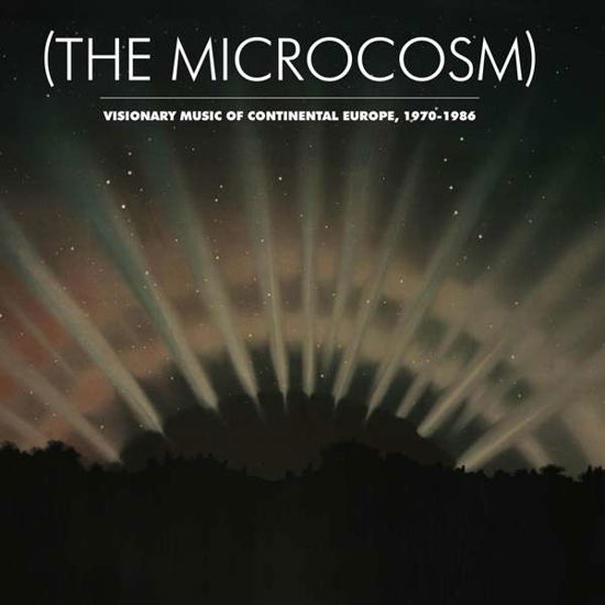 Microcosm: Visionary - V/A - Musiikki - LIGHT IN THE ATTIC - 0826853014328 - maanantai 28. marraskuuta 2016