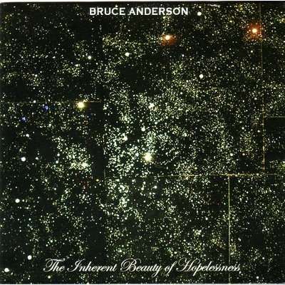 Cover for Bruce Anderson · Inherent Beauty of Hopelessness (CD) (2009)