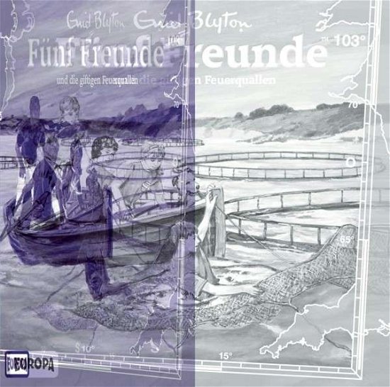 Cover for Fünf Freunde · Fünf Freunde und die giftigen Feuerqual (Book) (2013)