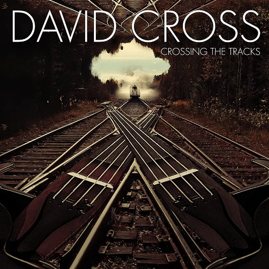 Crossing the Tracks - David Cross - Música - PURPLE PYRAMID - 0889466370328 - 9 de dezembro de 2022