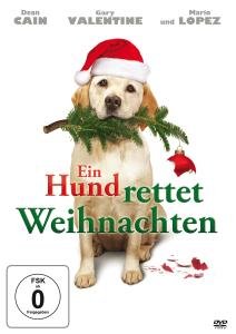 Cover for Valentine,gary / Donovan,elisa · Ein Hund Rettet Weihnachten (DVD) (2012)