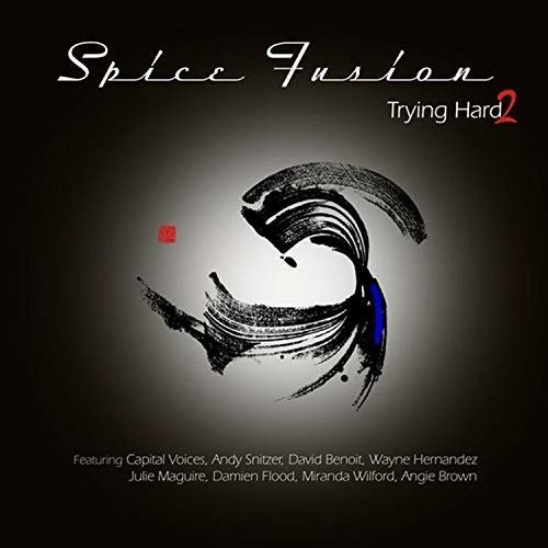 Cover for Spice Fusion · Trying Hard 2 (LP) (2018)