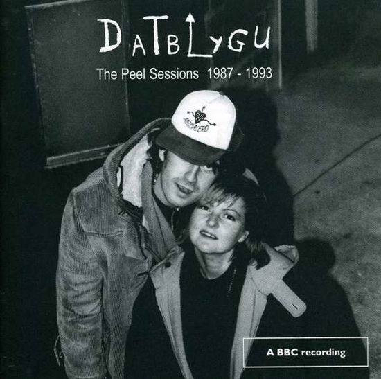 Cover for Datblygu · Peel Sessions 1987 - 1993 (CD) (2008)