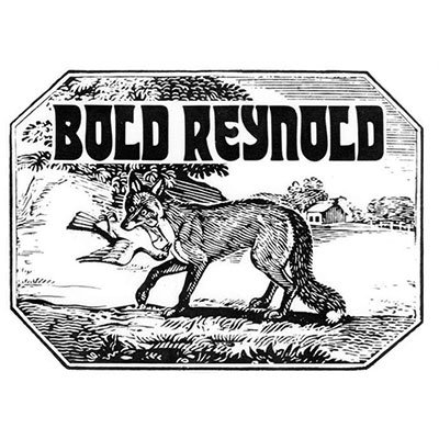 Cover for David Carroll and Friends · Bold Reynold (CD) (2023)