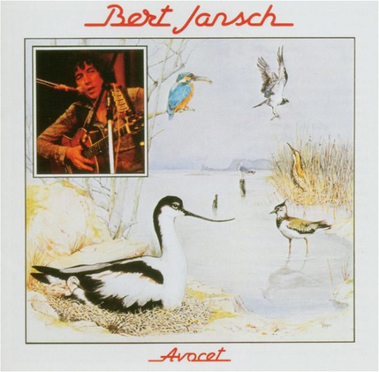 Cover for Bert Jansch · Avocet (CD) [Remastered edition] (2008)