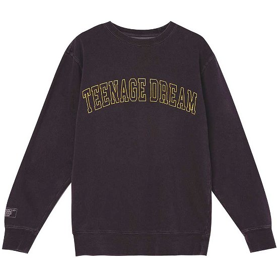 Cover for Olivia Rodrigo · Olivia Rodrigo Unisex Sweatshirt: Teenage Dream (Ex-Tour) (Kläder) [size S]
