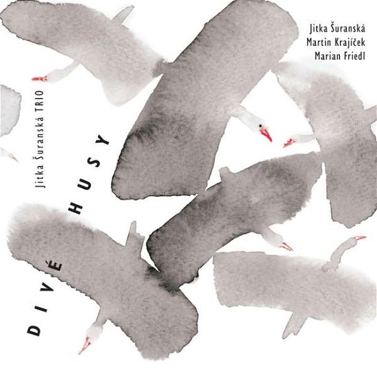 Cover for Jitka Suranska Trio · Dive Husy (CD) (2016)