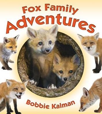 Cover for Bobbie Kalman · Fox Family Adventures (Hardcover Book) (2016)